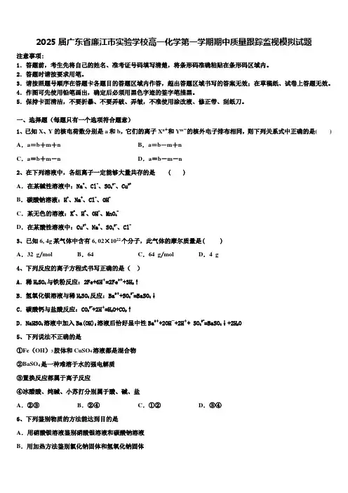 2025届广东省廉江市实验学校高一化学第一学期期中质量跟踪监视模拟试题含解析