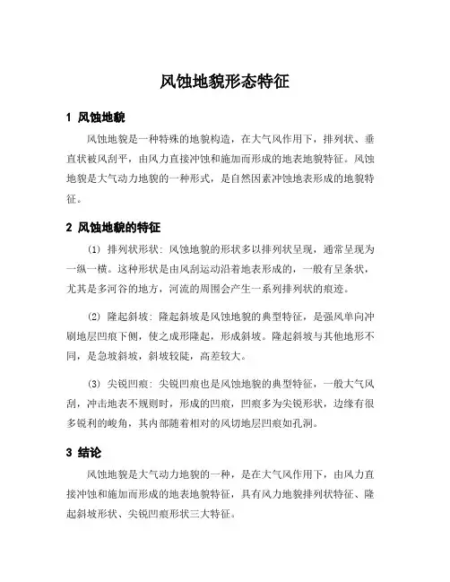 风蚀地貌形态特征