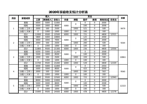家庭收支统计分析表