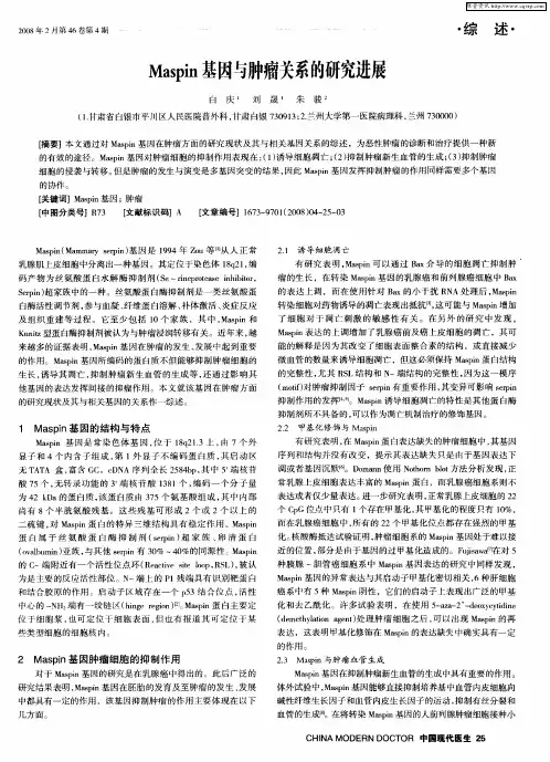 Maspin基因与肿瘤关系的研究进展