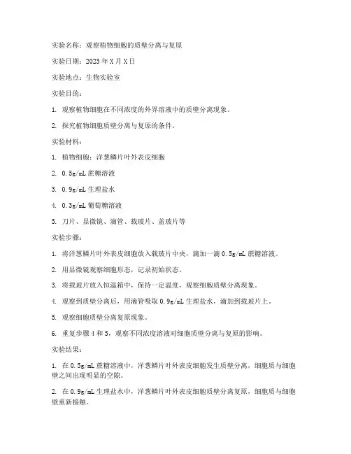高中的生物实验报告
