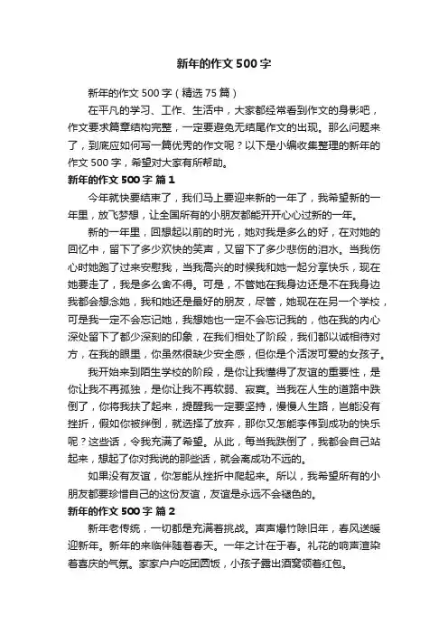 新年的作文500字