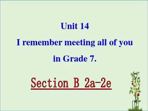 九年级英语-unit-14-I-remember-meeting-all-of-you-in-Gra