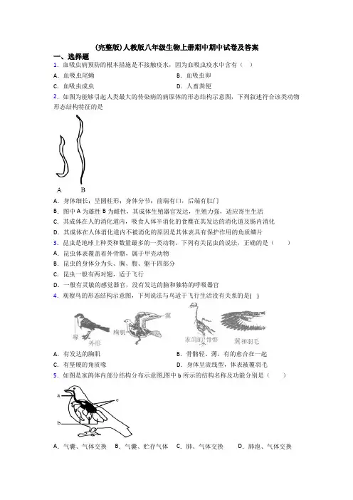 (完整版)人教版八年级生物上册期中期中试卷及答案