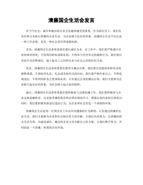 清廉国企生活会发言