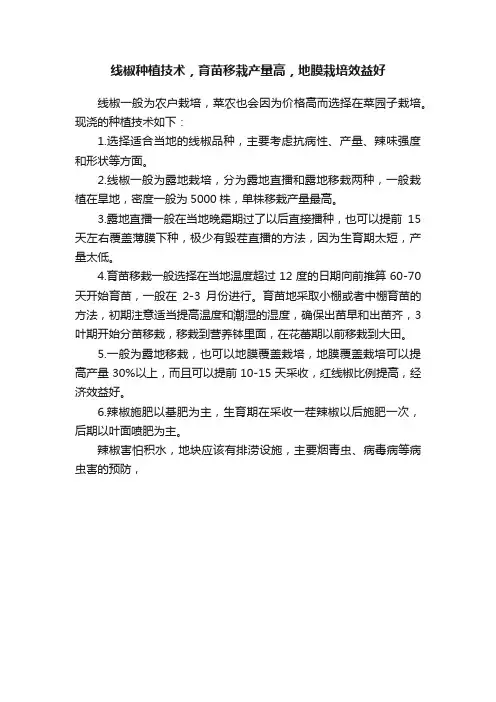 线椒种植技术，育苗移栽产量高，地膜栽培效益好