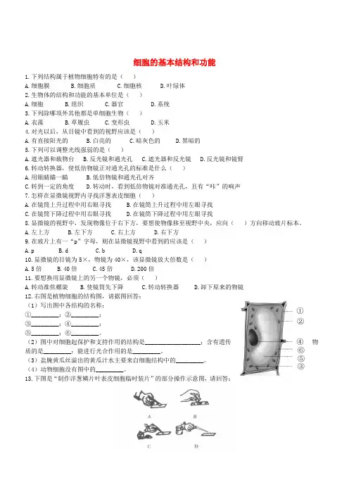 七年级生物上册 2.3.1 细胞的基本结构和功能同步练习 (新版)北师大版