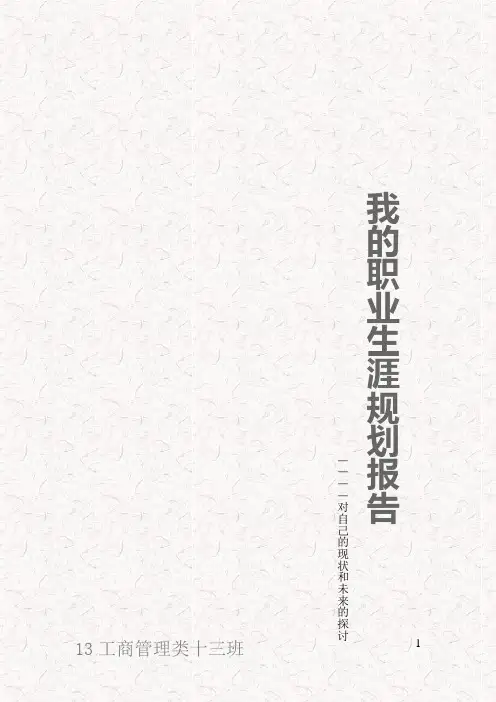 我的职业生涯规划报告