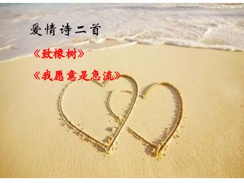 爱情诗二首 课件