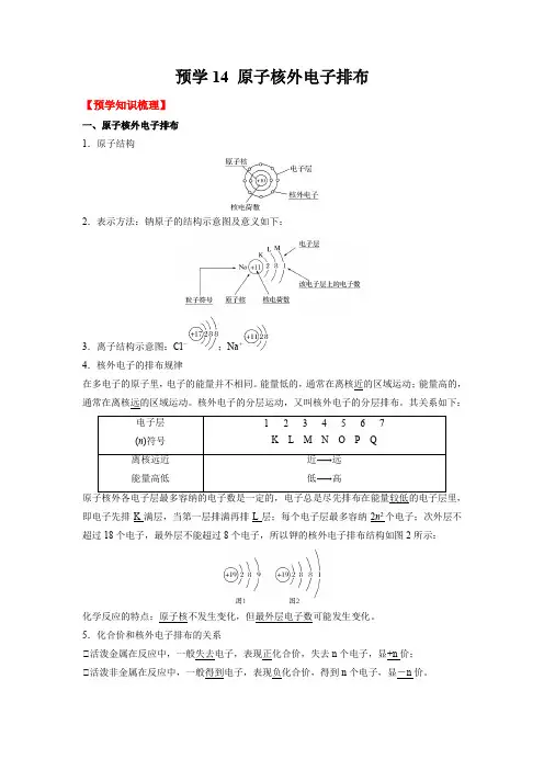 考点14 原子核外电子排布-(解析版)