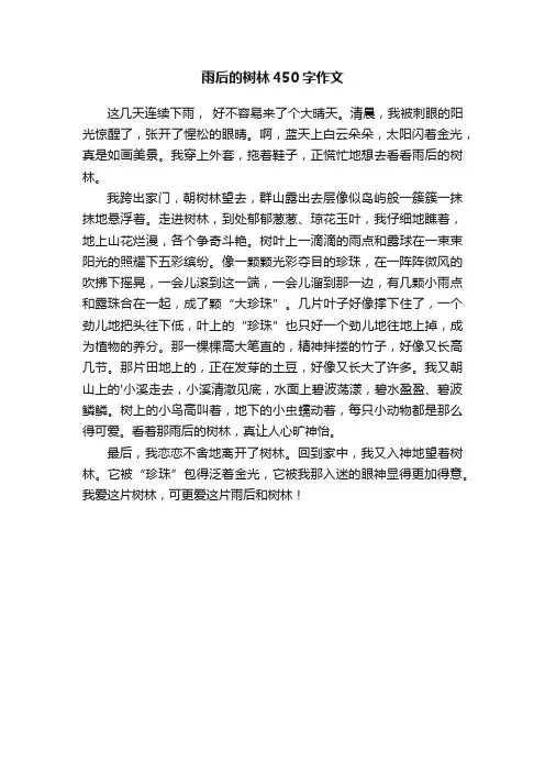 雨后的树林450字作文