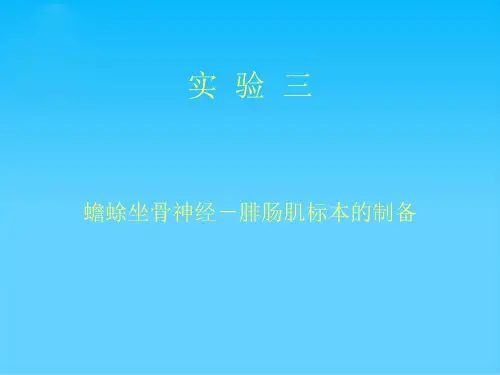 实验三 蟾蜍坐骨神经-腓肠肌标本的制备