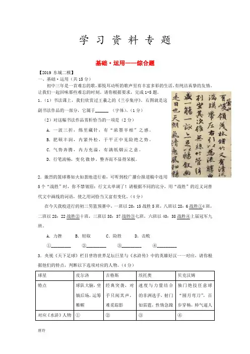 2019年中考语文二模试题分类汇编 基础运用 综合题