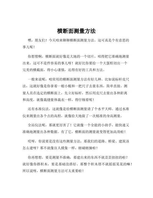 横断面测量方法