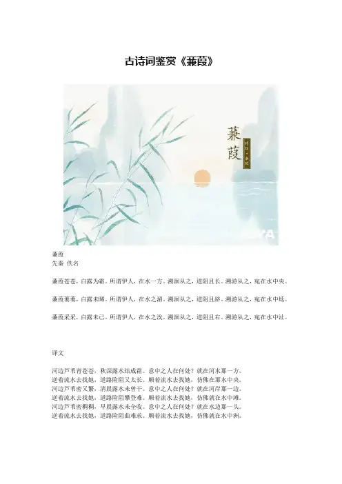古诗词鉴赏《蒹葭》