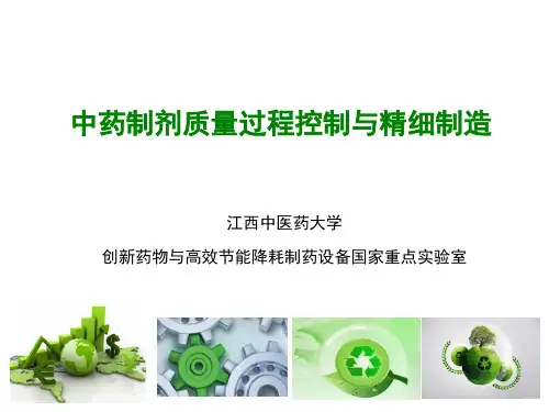 中药制剂质量过程控制与精细制造培训课件ppt
