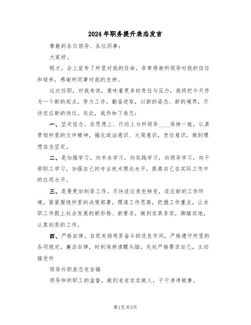 2024年职务提升表态发言(二篇)