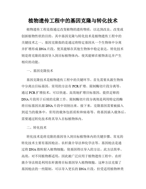 植物遗传工程中的基因克隆与转化技术