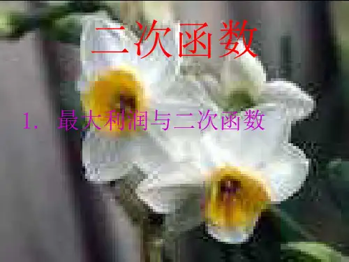 26.3 《何时获得最大利润》《2最大利润与二次函数》课件(人教新课标九年级下)ppt--初中数学