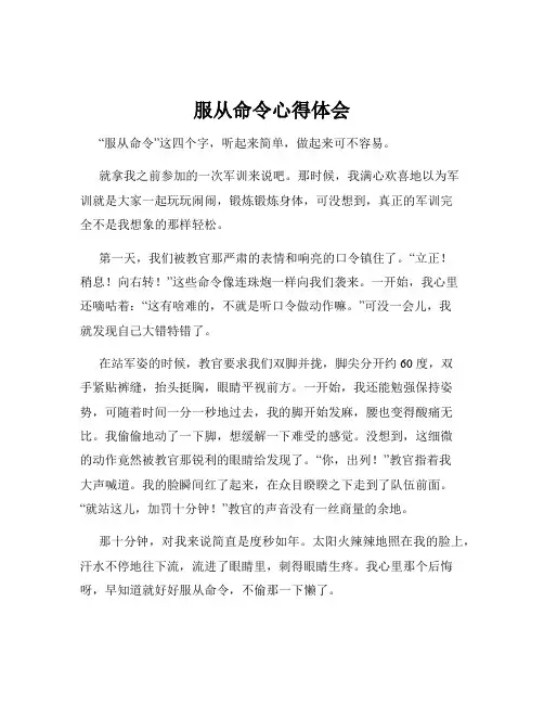 服从命令心得体会