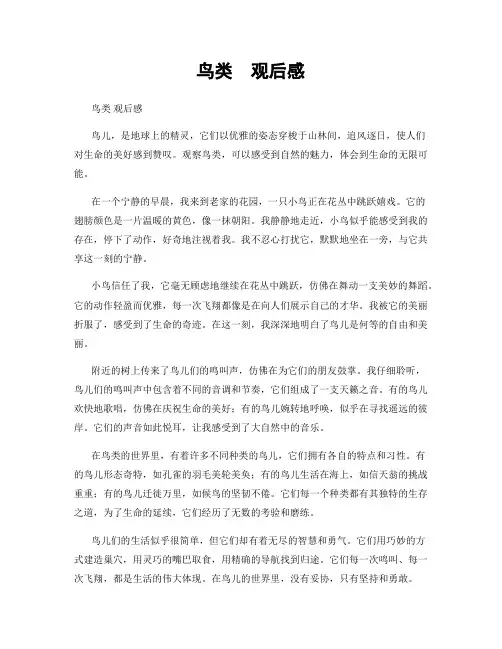 鸟类  观后感