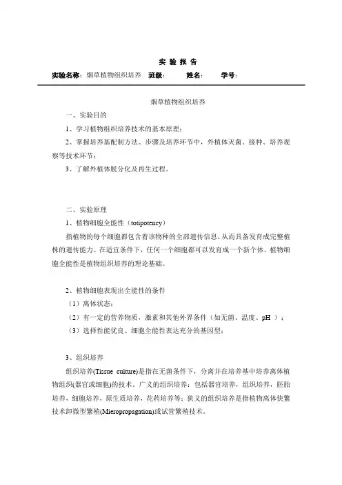 植 物 组 培实验报告