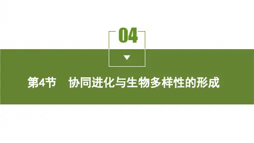 人教版高一必刷题第六章生物的进化：第4节 协同进化与生物多样性的形成