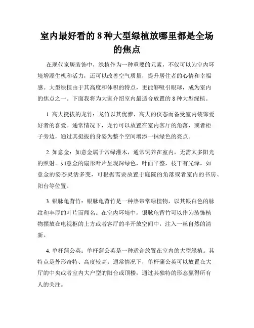 室内最好看的8种大型绿植放哪里都是全场的焦点