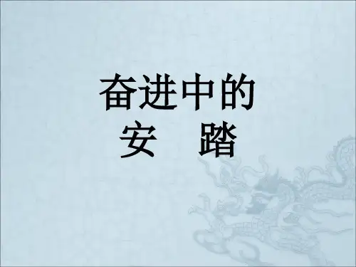 《奋进中的安踏》PPT课件
