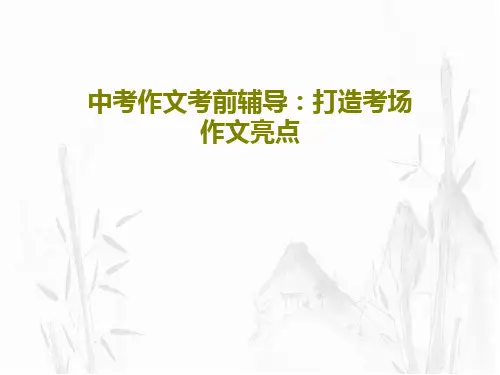 中考作文考前辅导：打造考场作文亮点18页PPT