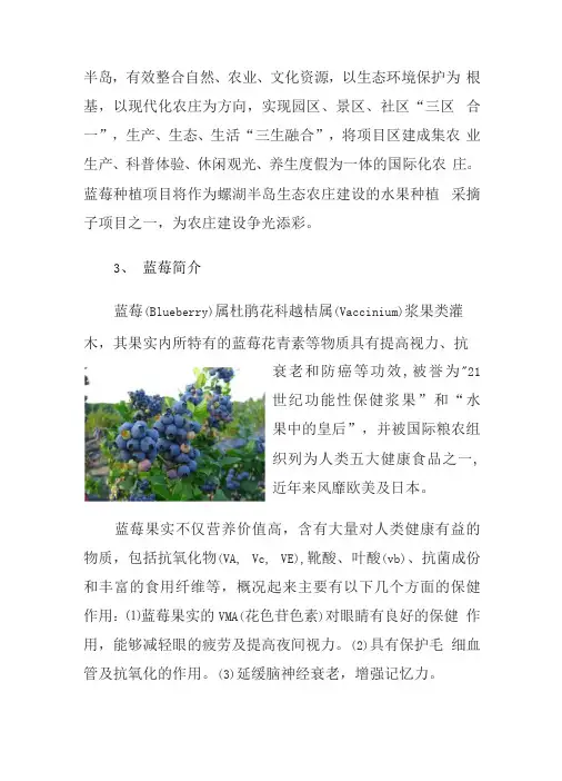 蓝莓种植项目计划书