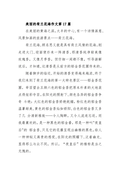 美丽的荷兰花海作文第17篇