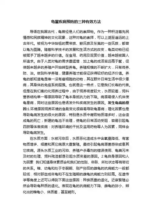 龟鳖疾病预防的三种有效方法