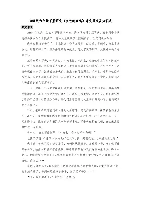部编版六年级下册语文《金色的鱼钩》课文原文及知识点