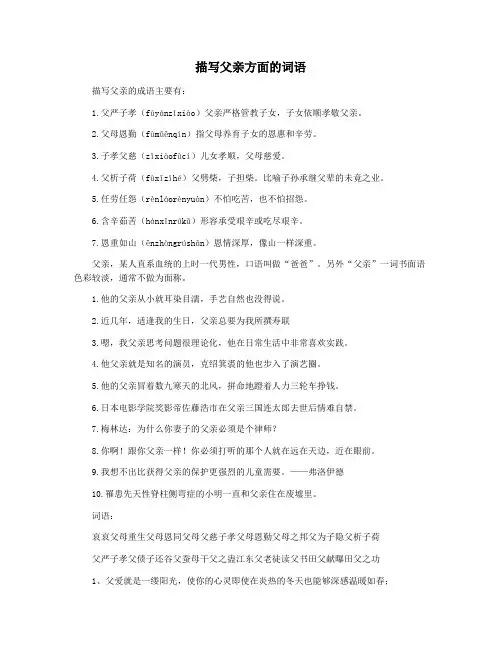 描写父亲方面的词语