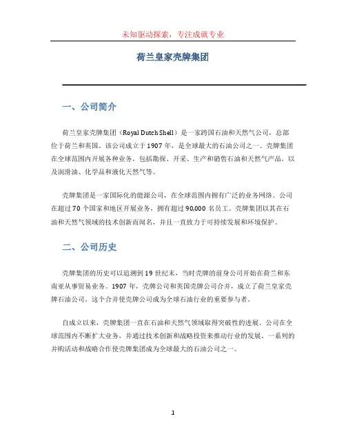 荷兰皇家壳牌集团