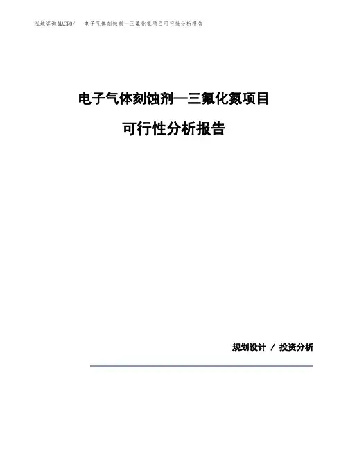 电子气体刻蚀剂—三氟化氮项目可行性分析报告(模板参考范文)