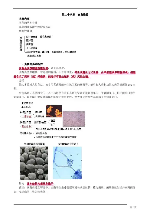 临床检验主管技师 微生物检验 第二十八章 真菌检验