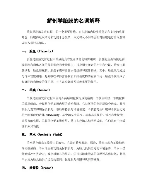 解剖学胎膜的名词解释