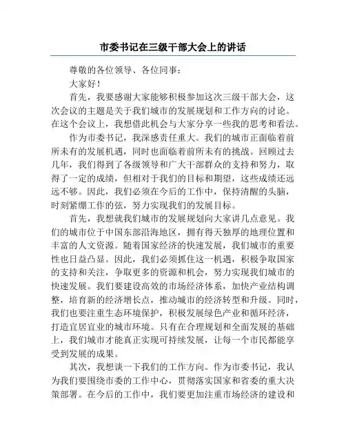 市委书记在三级干部大会上的讲话