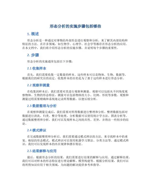 形态分析的实施步骤包括哪些
