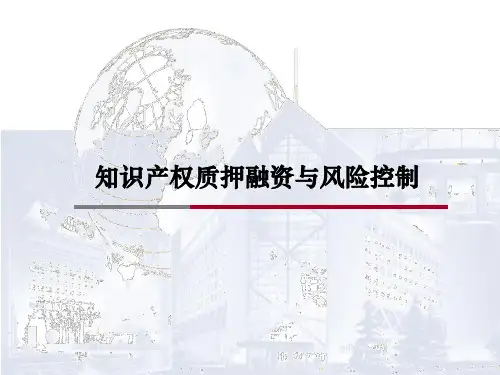 知识产权质押融资与风险控制(PPT 36页)