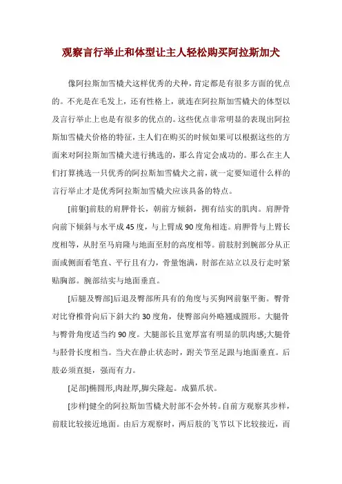 观察言行举止和体型 让主人轻松购买阿拉斯加犬