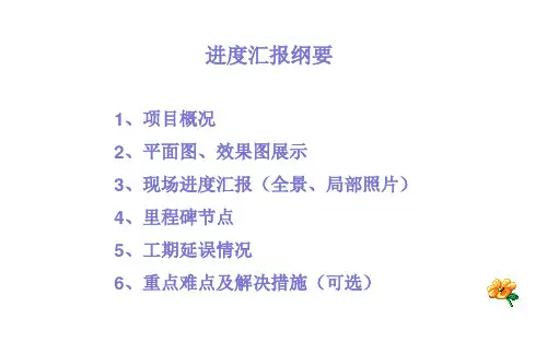 工程项目进度汇报ppt课件