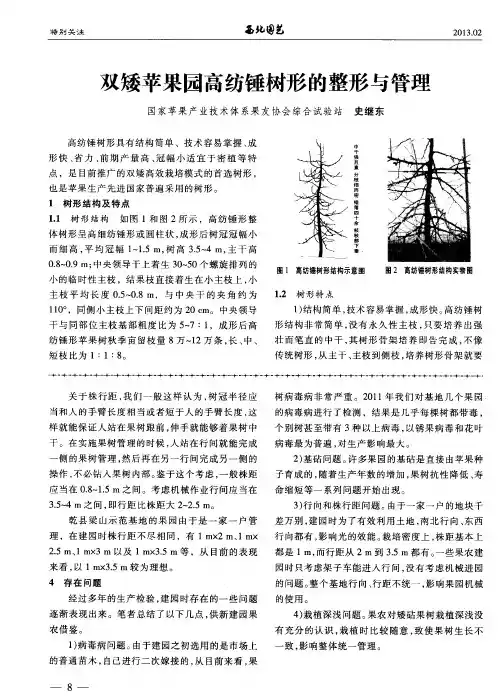 双矮苹果园高纺锤树形的整形与管理
