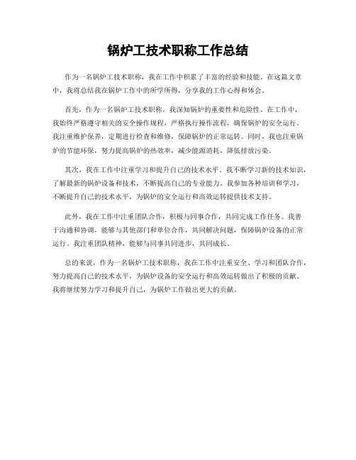 锅炉工技术职称工作总结