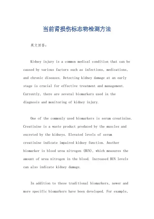 当前肾损伤标志物检测方法