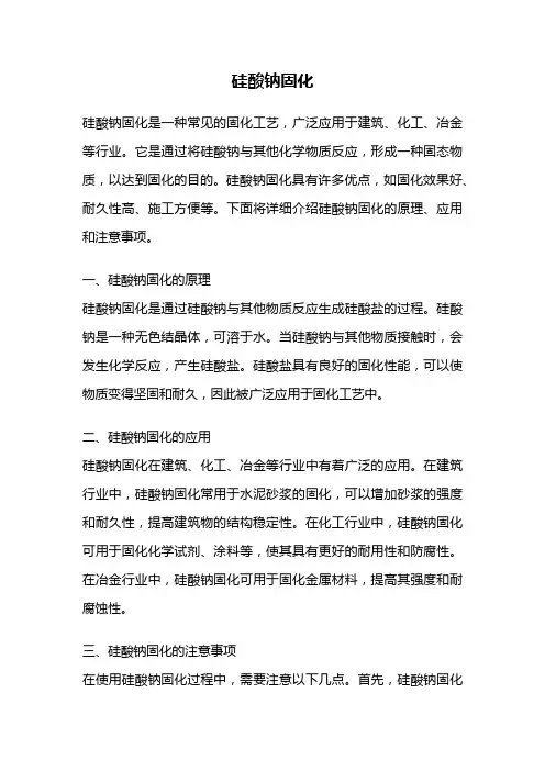 硅酸钠固化