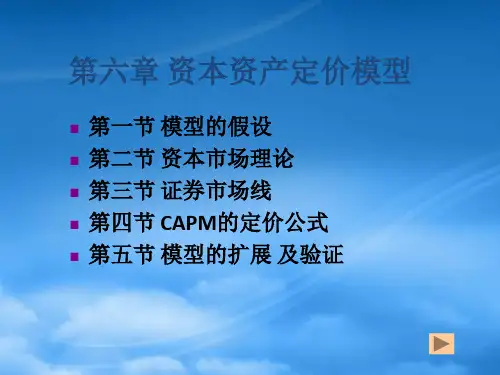 财务管理第6章_资本资产定价模型