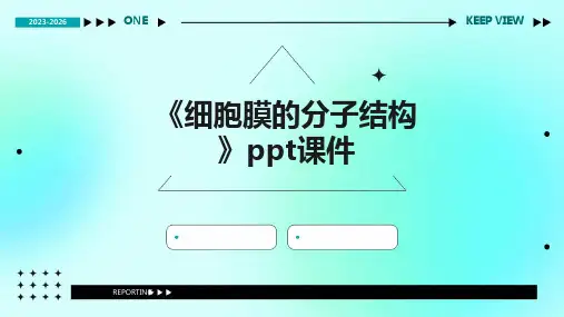 《细胞膜的分子结构》课件